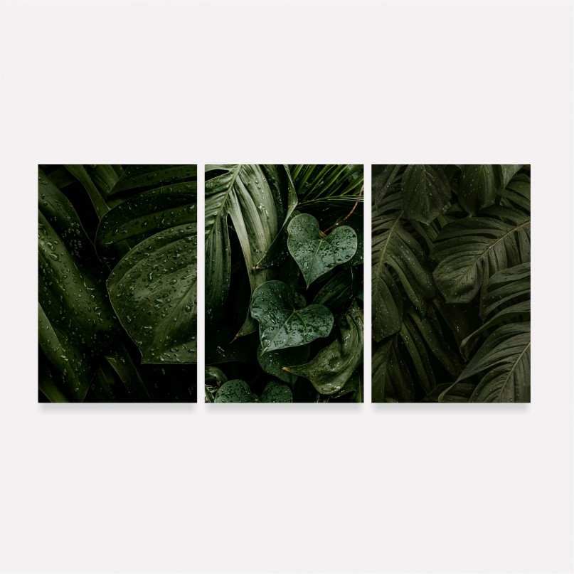 Quadro Plantas Naturais Folhagem Maravilhosa Gotas de Chuva