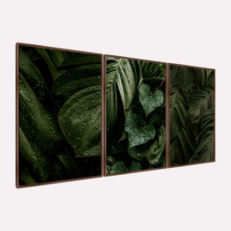 Quadro Plantas Naturais Folhagem Maravilhosa Gotas de Chuva