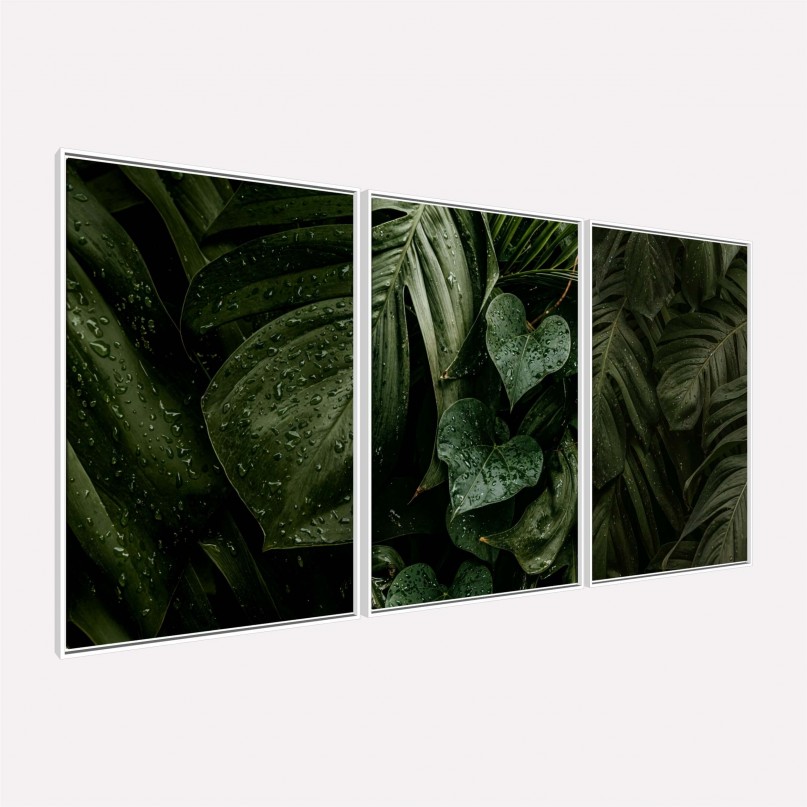 Quadro Plantas Naturais Folhagem Maravilhosa Gotas de Chuva