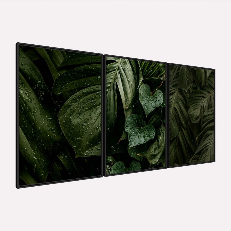Quadro Plantas Naturais Folhagem Maravilhosa Gotas de Chuva