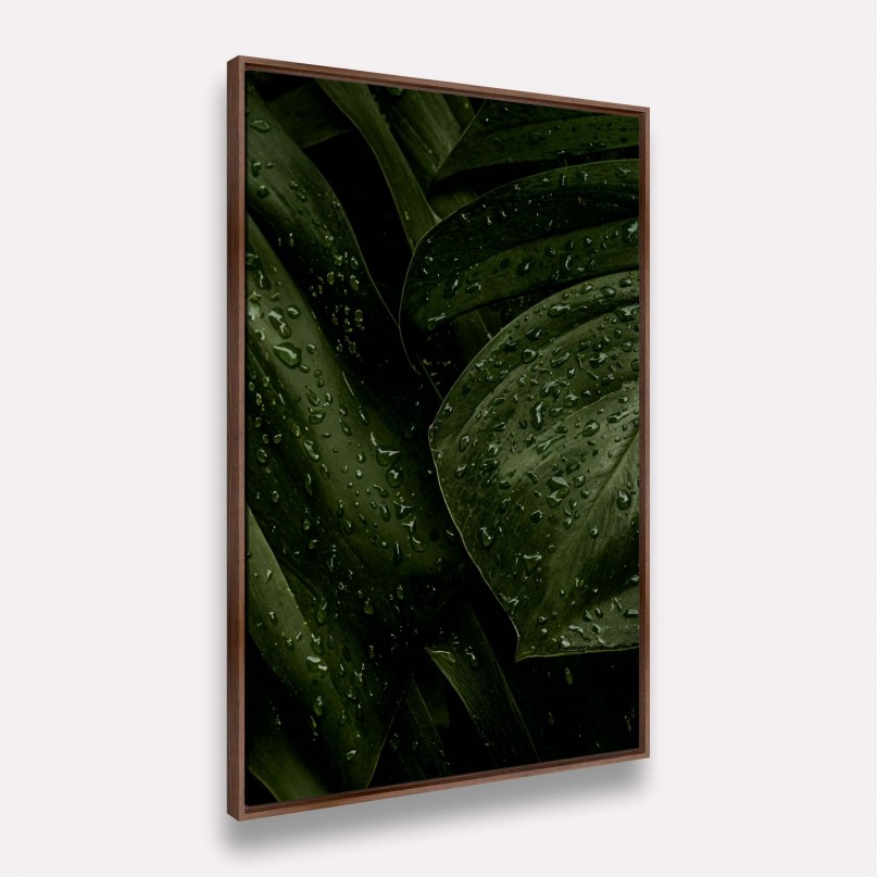Quadro Folhagem Verde Natural Gotas de Chuva