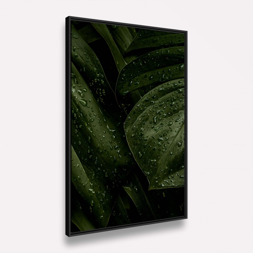 Quadro Folhagem Verde Natural Gotas de Chuva