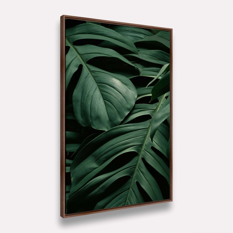 Quadro Folhas Naturais Costela de Adão Verde Escuro