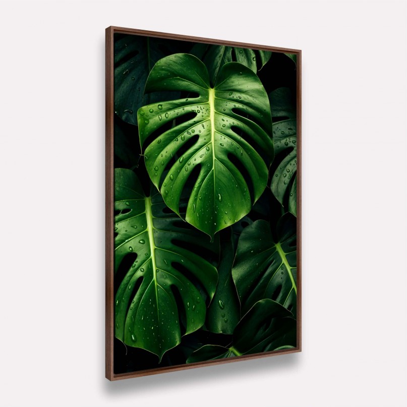 Quadros Folhas de Monstera Tropical Gotas de Chuva