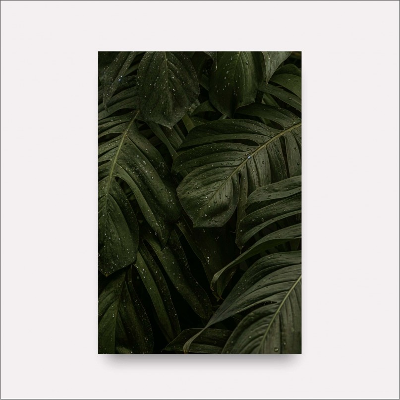 Quadro Folhas Molhadas Monstera Costela de Adão