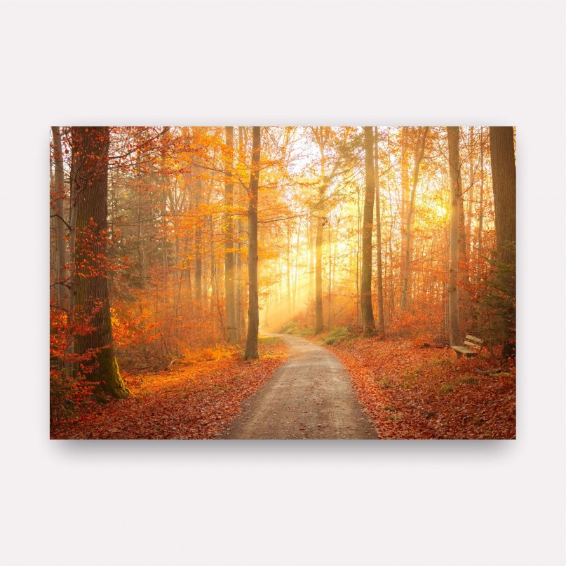 Quadro Paisagem Caminho do Sol Encanto das Cores Outonais