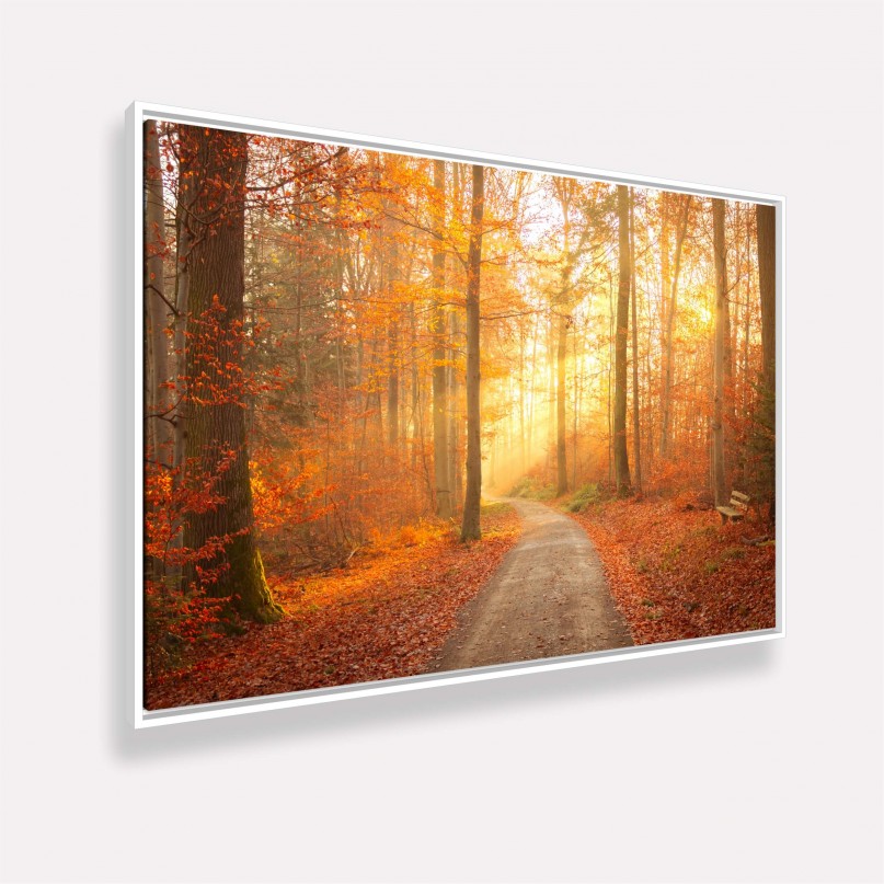 Quadro Paisagem Caminho do Sol Encanto das Cores Outonais