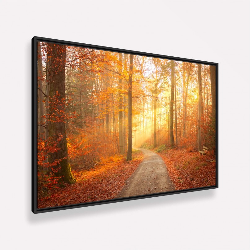 Quadro Paisagem Caminho do Sol Encanto das Cores Outonais