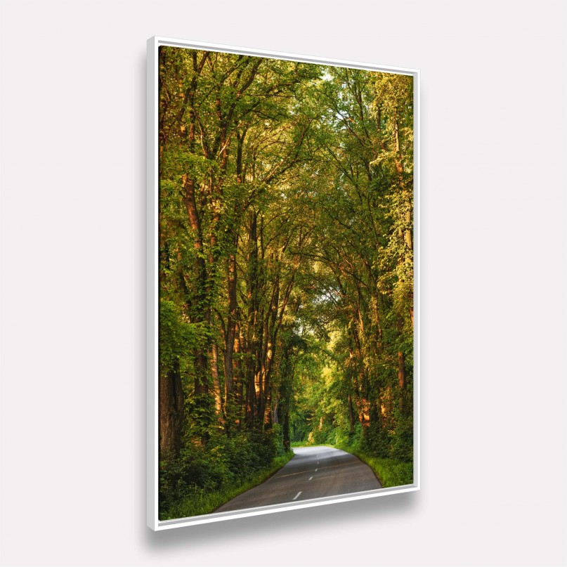 Quadro Paisagem Estrada em Meio à Floresta