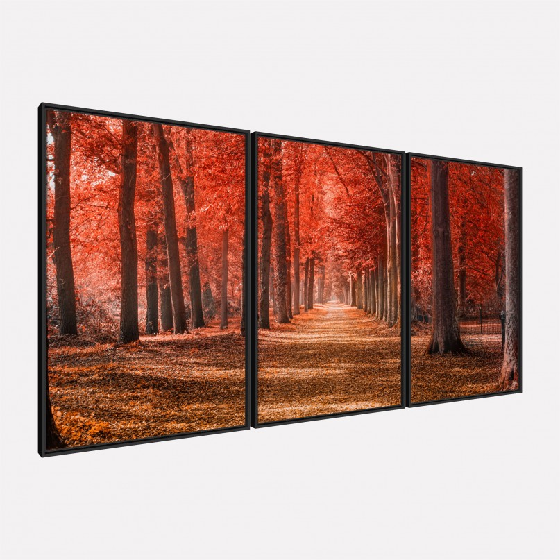 Quadro Paisagem Floresta Vermelha Fogo do Outono