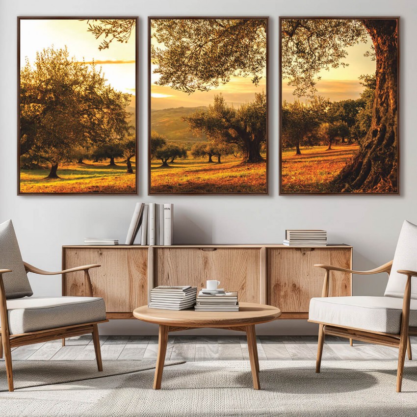 Quadro Decorativo Paisagem Oliveiras no Campo ao Entardecer