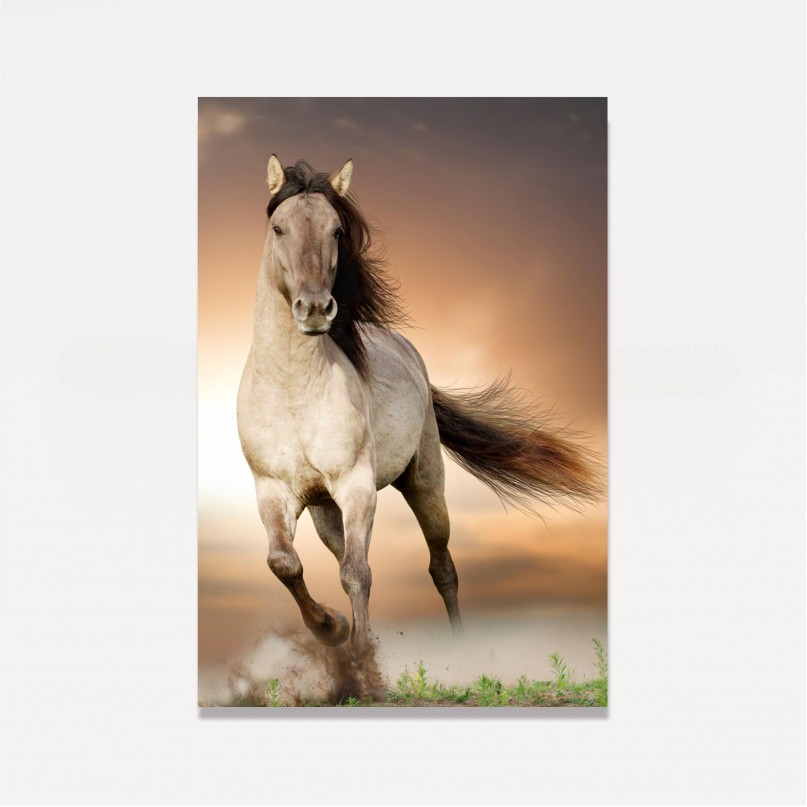 Quadro decorativo Cavalo Correndo no Campo