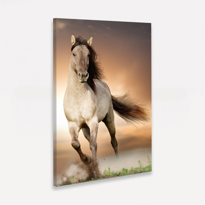 Quadro decorativo Cavalo Correndo no Campo