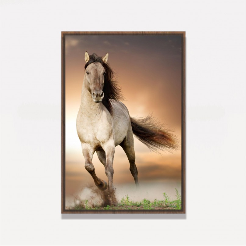 Quadro decorativo Cavalo Correndo no Campo