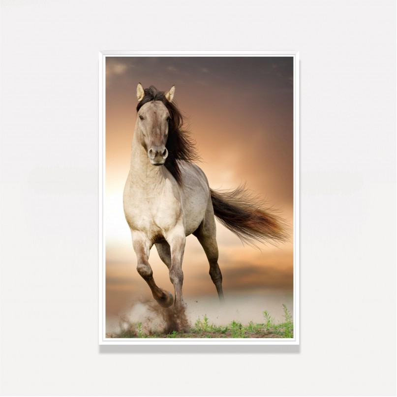 Quadro decorativo Cavalo Correndo no Campo