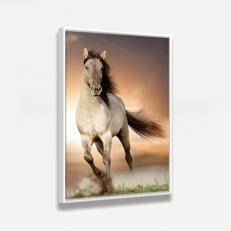 Quadro decorativo Cavalo Correndo no Campo