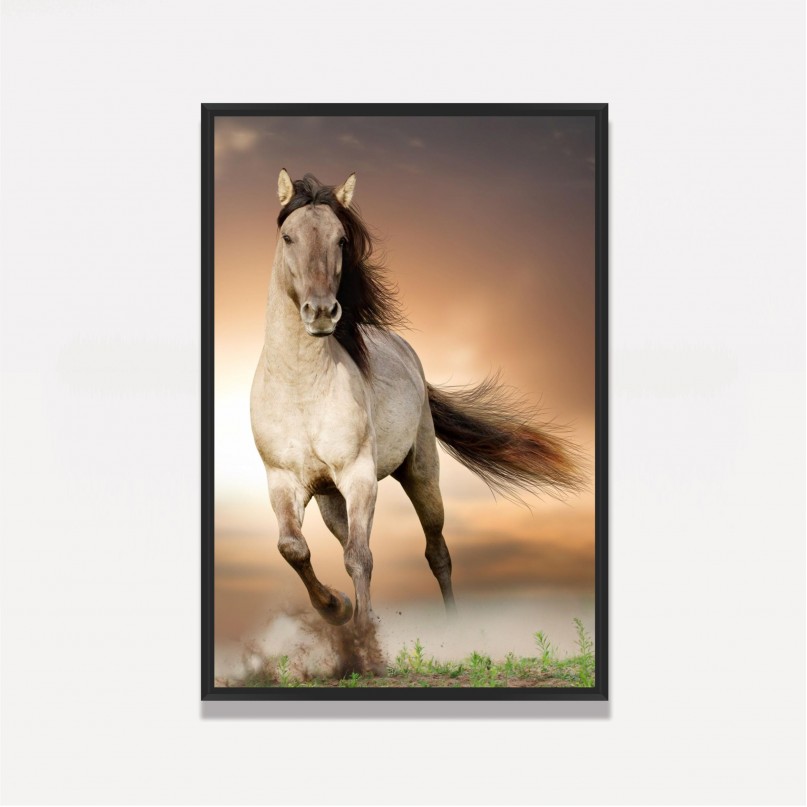 Quadro decorativo Cavalo Correndo no Campo