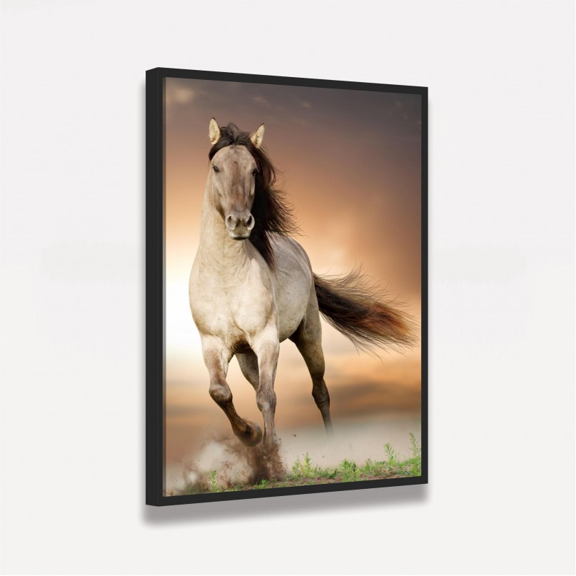 Quadro decorativo Cavalo Correndo no Campo
