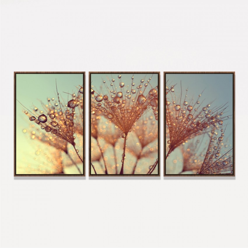 Quadro Flor Dente de Leão Gotas de Orvalho decorativo