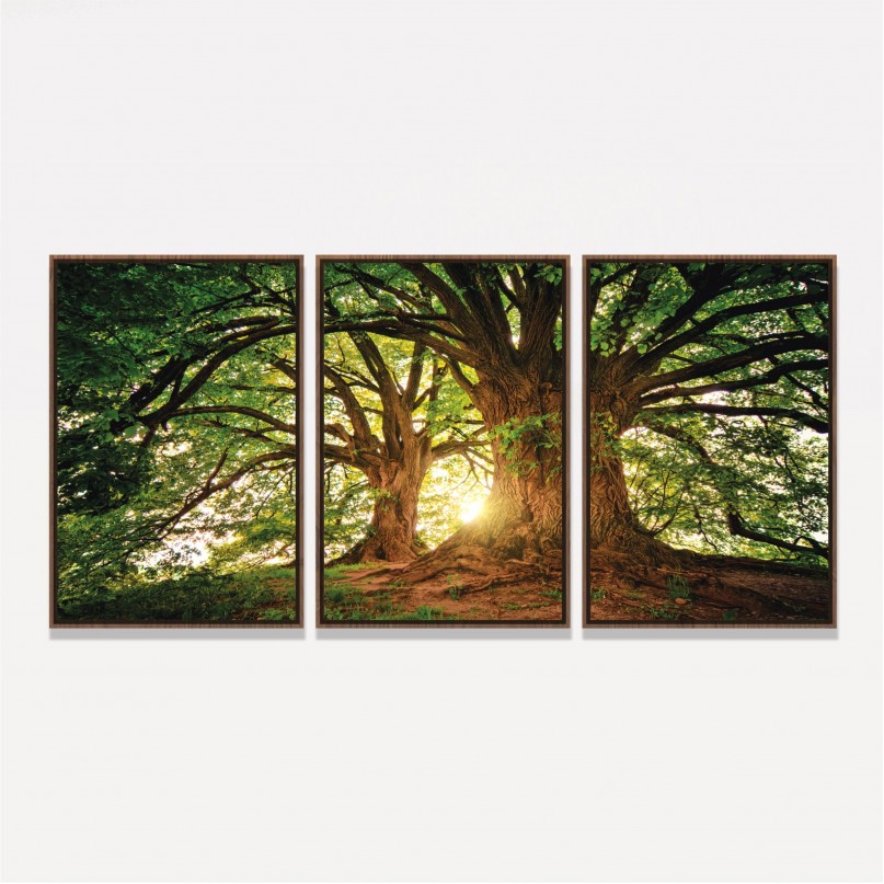 Quadro Árvores Grandes Galhos Paisagem - Tree At Sunset