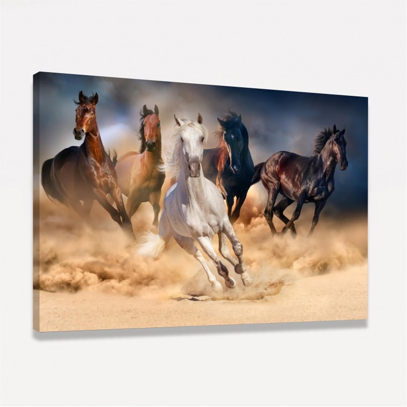 Quadro Cavalos Correndo em Arte decorativo