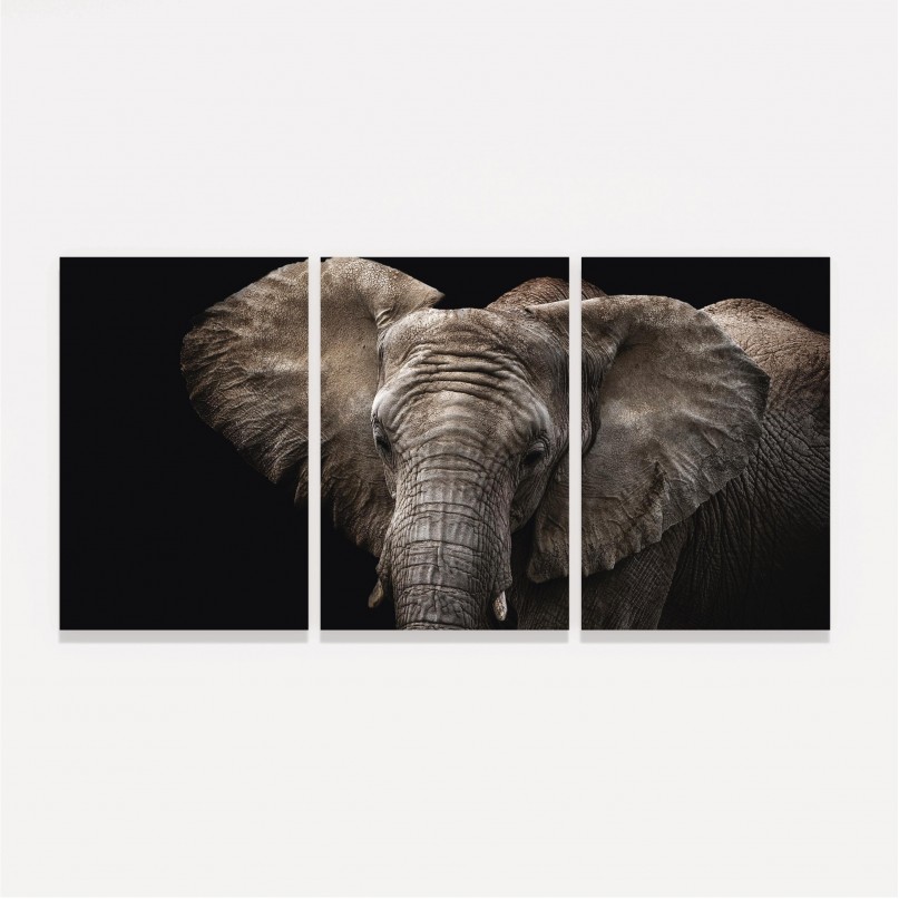 Quadro Elefante em Arte - 3 Peças