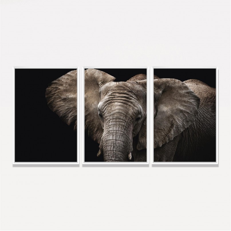 Quadro Elefante em Arte - 3 Peças