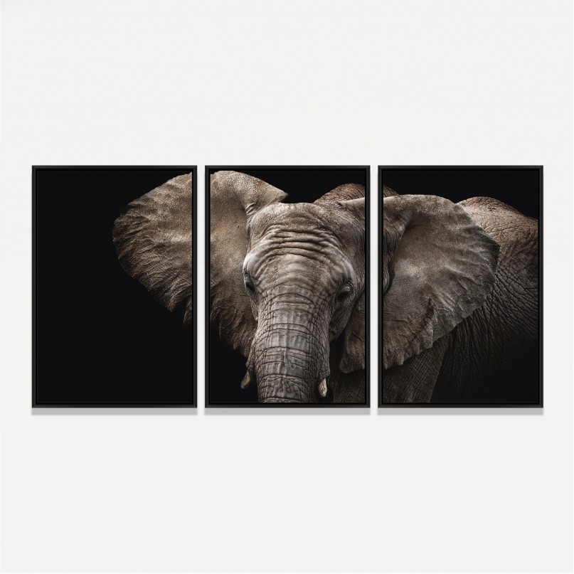 Quadro Elefante em Arte - 3 Peças