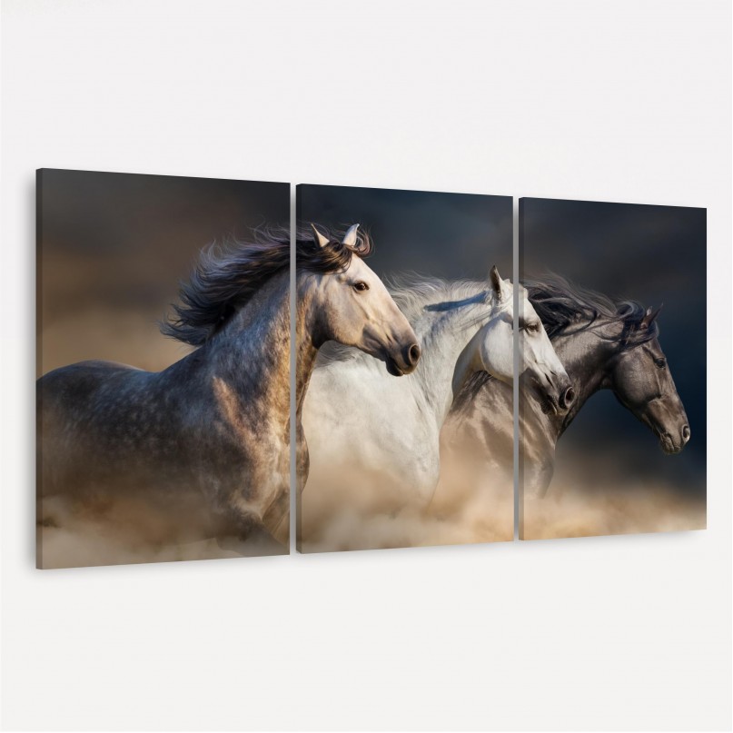 Quadro Cavalos em Arte - Trio de Cavalos
