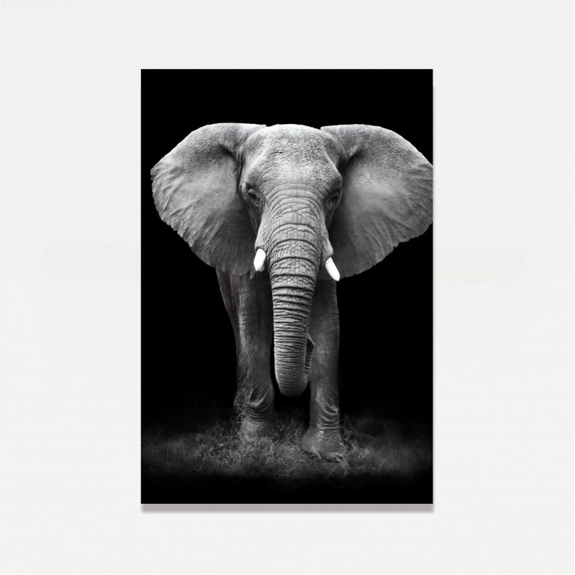 Quadro Elefante em Arte Preto e Branco