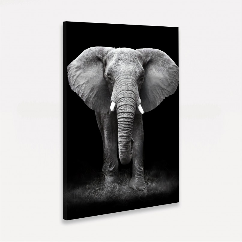 Quadro Elefante em Arte Preto e Branco