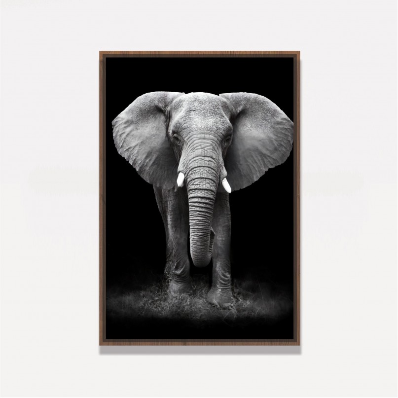 Quadro Elefante em Arte Preto e Branco