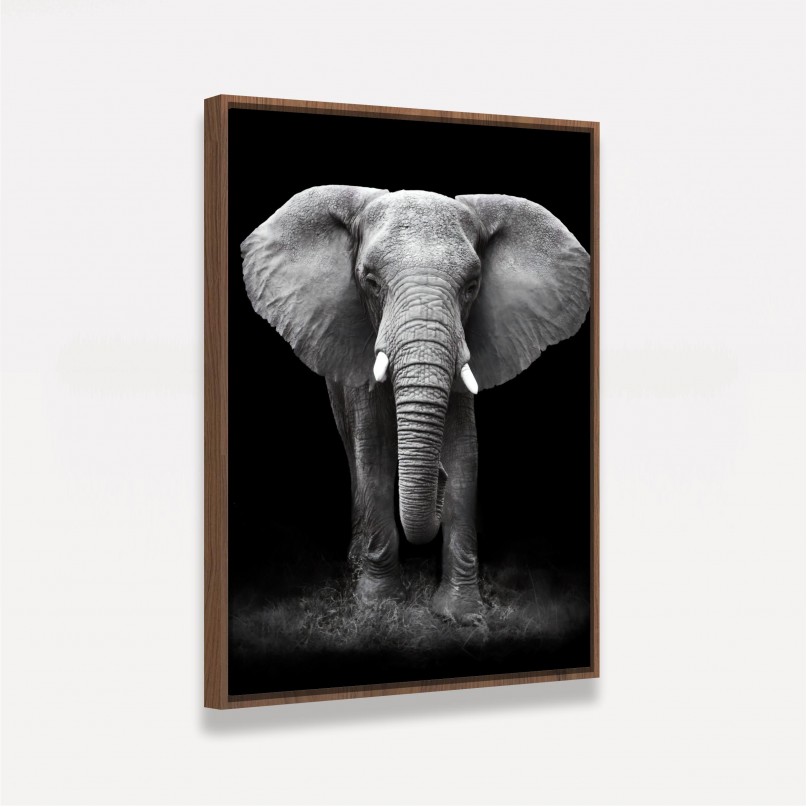 Quadro Elefante em Arte Preto e Branco