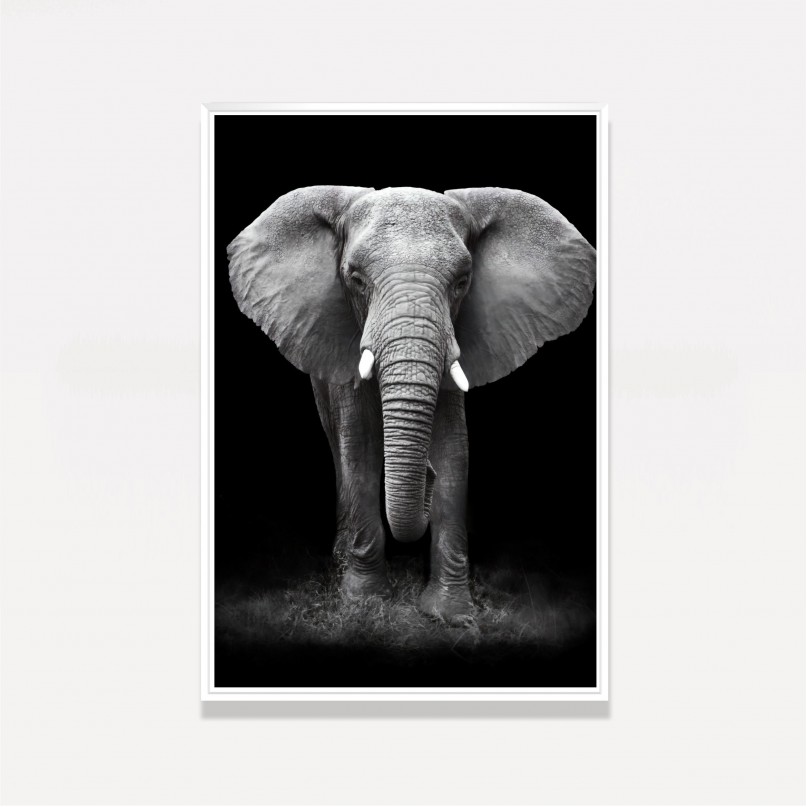 Quadro Elefante em Arte Preto e Branco
