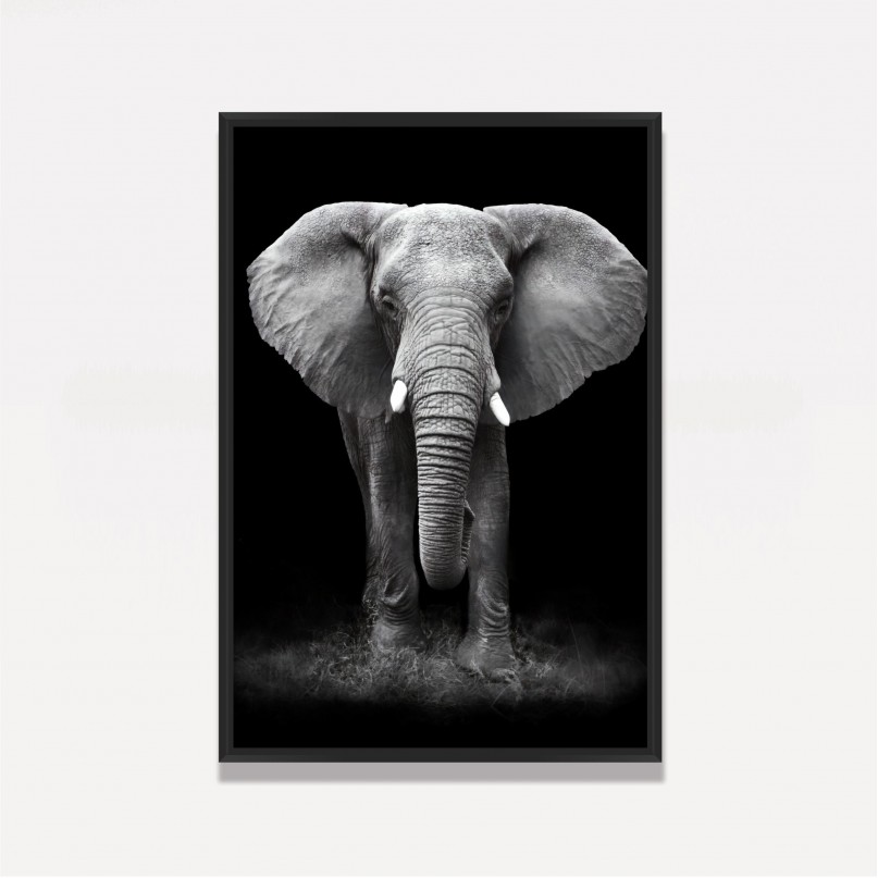 Quadro Elefante em Arte Preto e Branco