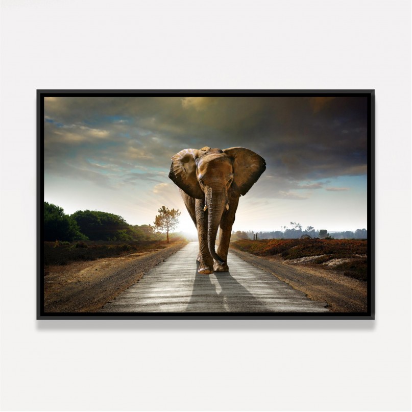 Quadro Elefante Caminhando em Arte