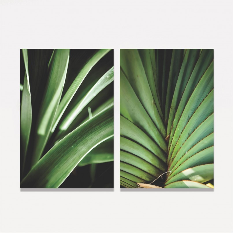 Quadro Plantas Natural Botânica - 2 Peças