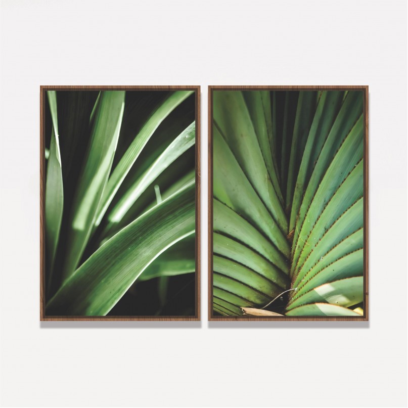 Quadro Plantas Natural Botânica - 2 Peças