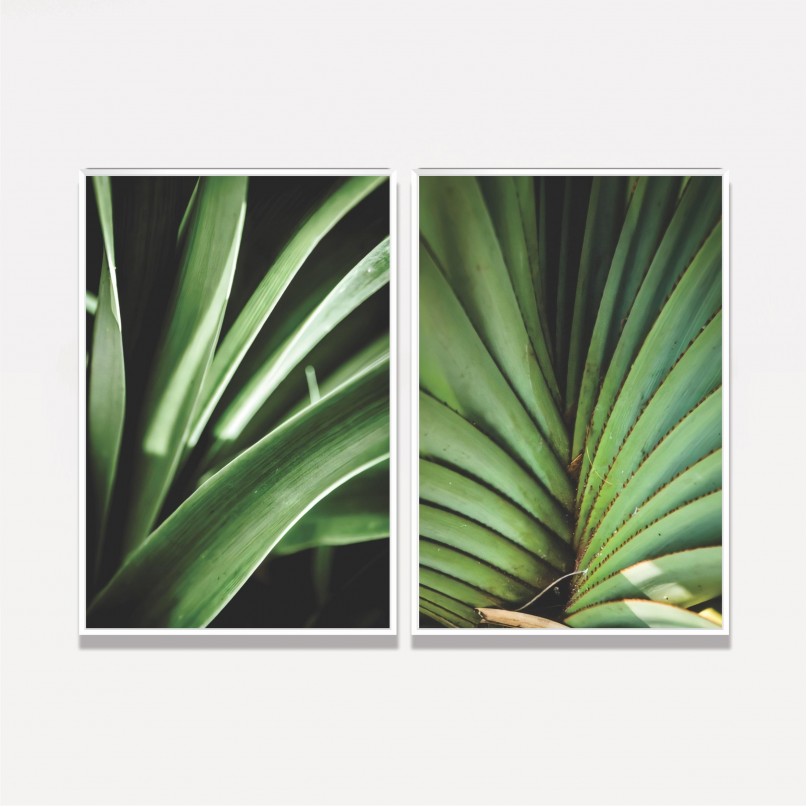 Quadro Plantas Natural Botânica - 2 Peças