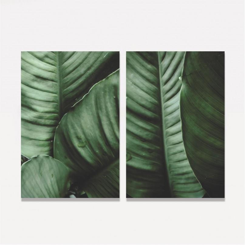 Quadro Plantas Folhagem decorativo - Duo de Verde