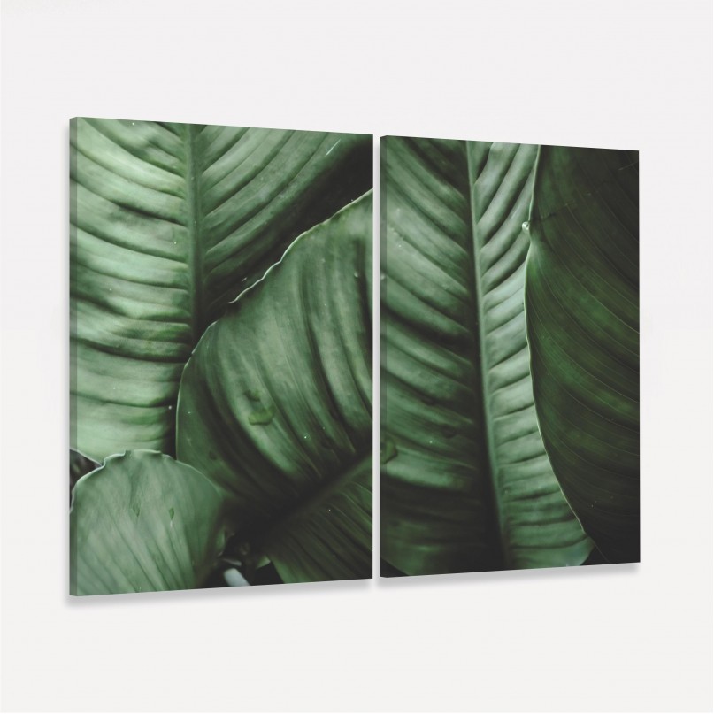 Quadro Plantas Folhagem decorativo - Duo de Verde