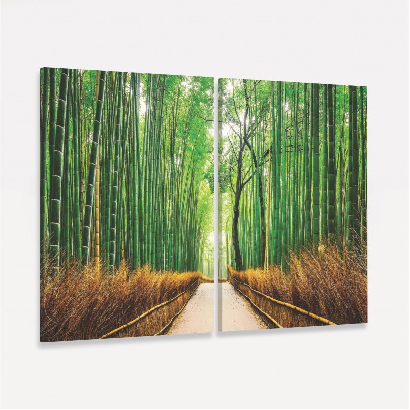 Quadro Floresta de Bambu Oriental - 2 Peças