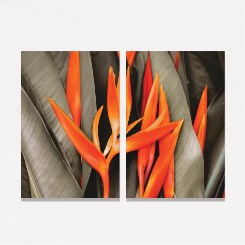 Quadro Flores de Laranjeira Duo - Bird Of Paradise