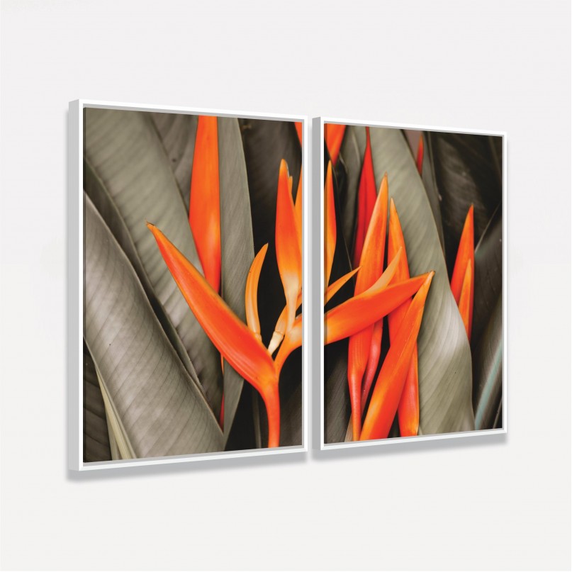 Quadro Flores de Laranjeira Duo - Bird Of Paradise