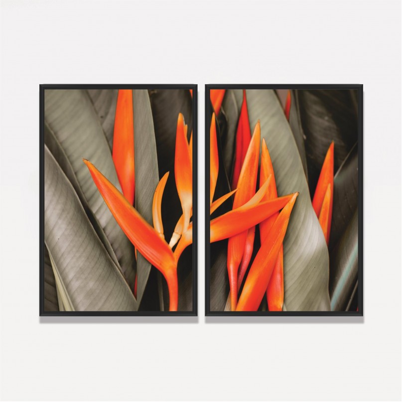 Quadro Flores de Laranjeira Duo - Bird Of Paradise