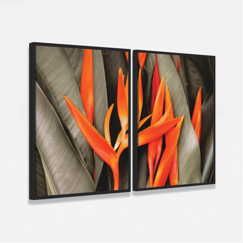 Quadro Flores de Laranjeira Duo - Bird Of Paradise