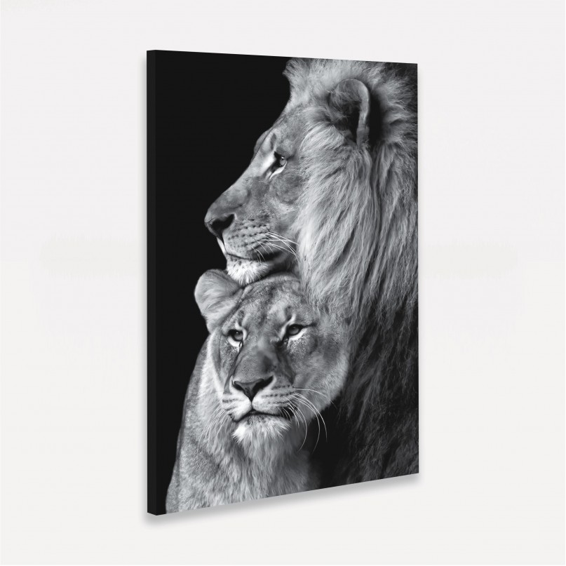 Quadro Leão Casal em Arte Preto e Branco decorativo
