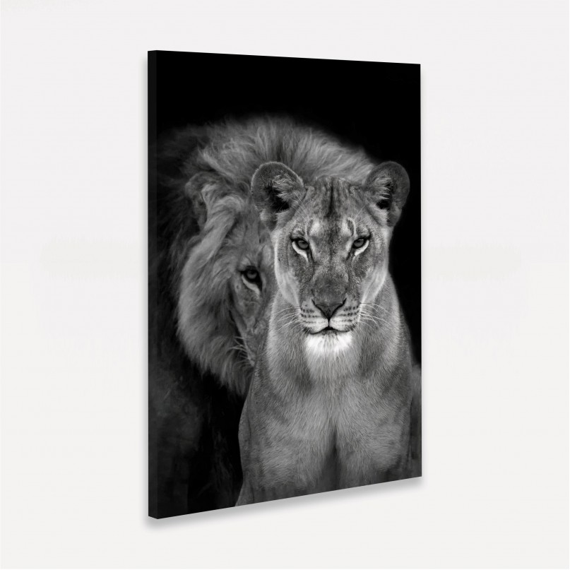 Quadro Casal de Leões Retrato P&B decorativo