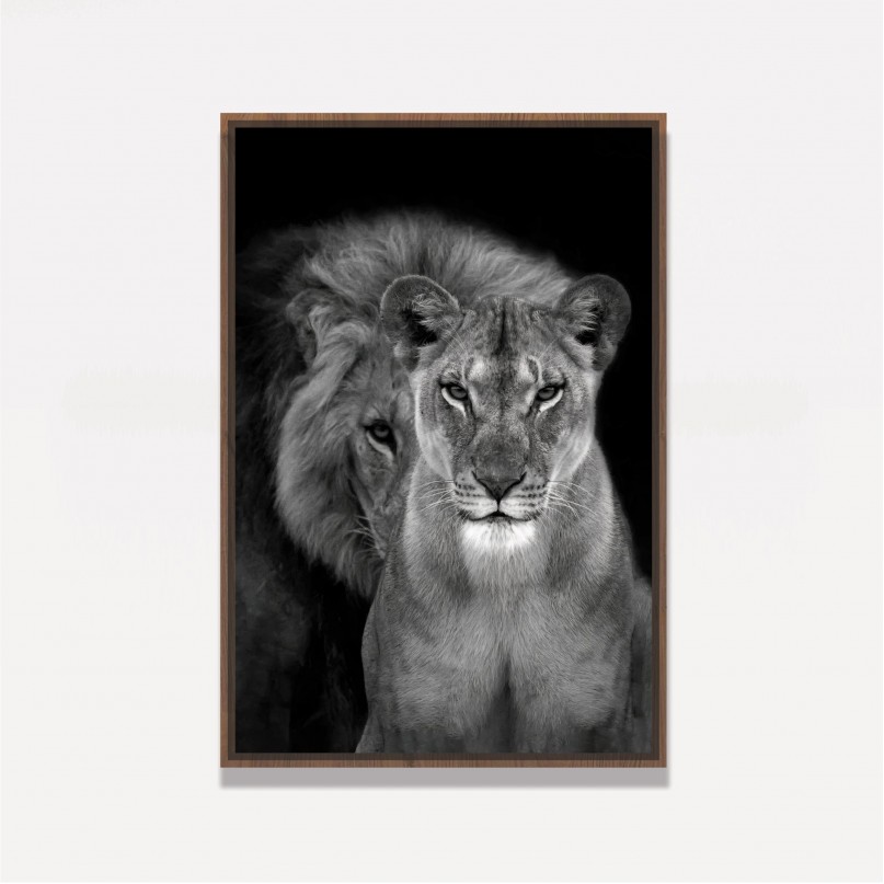 Quadro Casal de Leões Retrato P&B decorativo