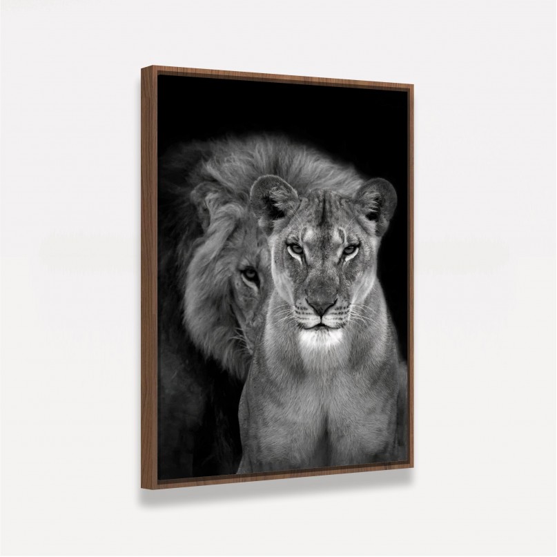 Quadro Casal de Leões Retrato P&B decorativo